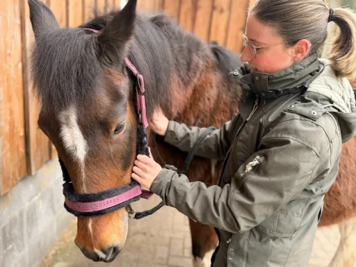 Tierphysiotherapeutin bei der Behandlung eines Pferdes