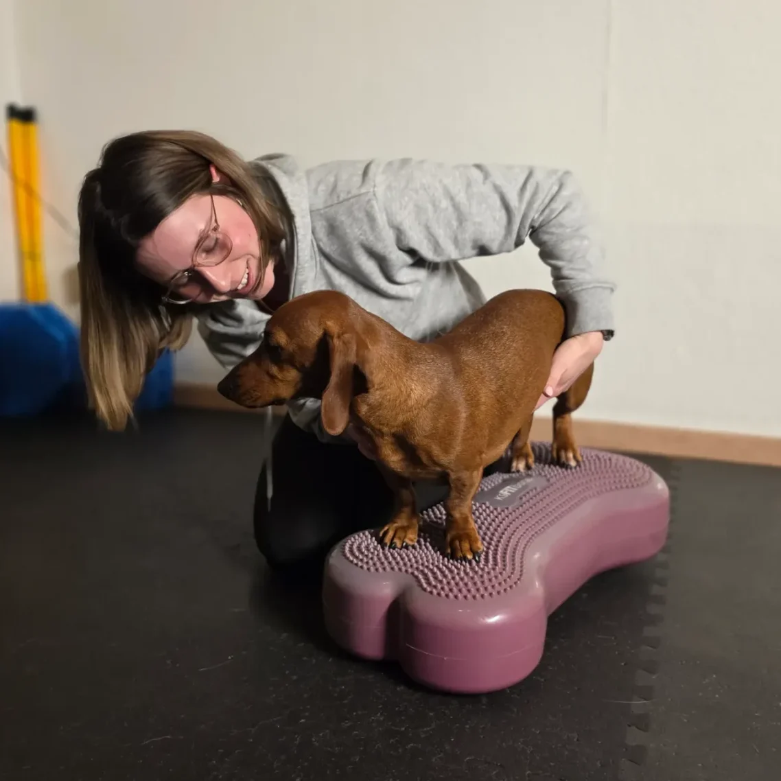 Gezielte Übungen für mehr Stabilität beim Dackels Stabilitätsübung für Hunde in Soltau